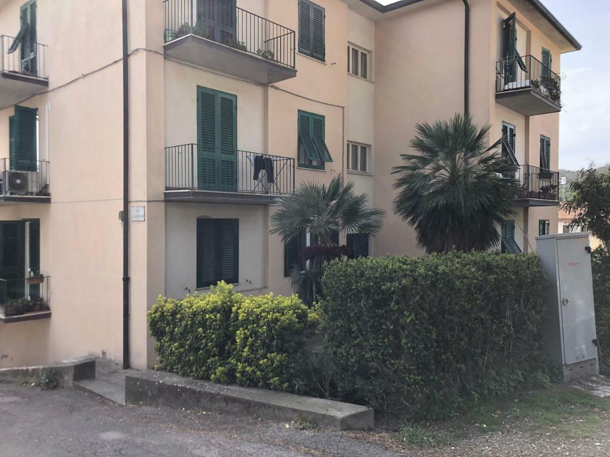 Gabbro-rosignano Marittimo *